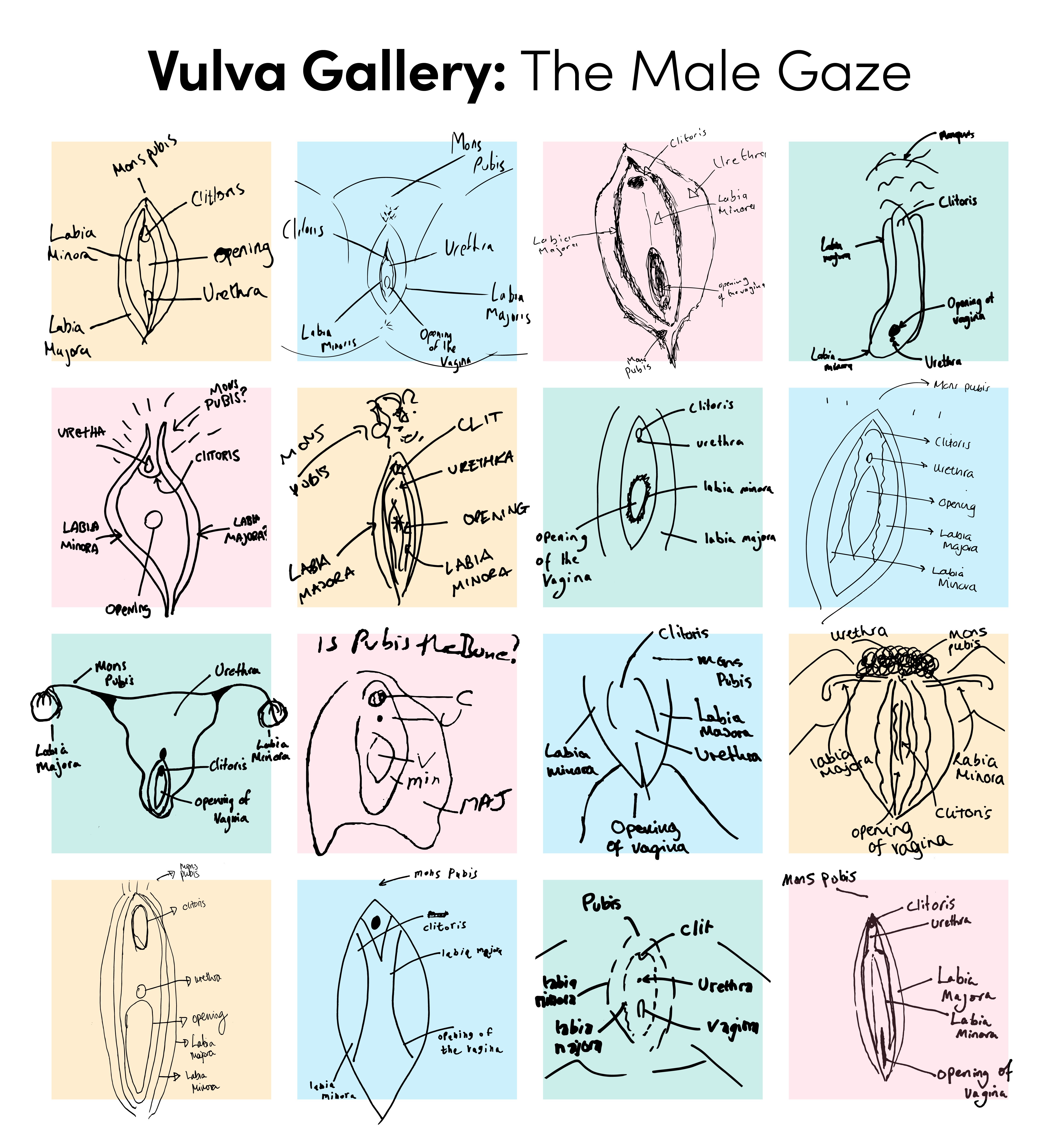 Vulva Gallery_ Male Gaze